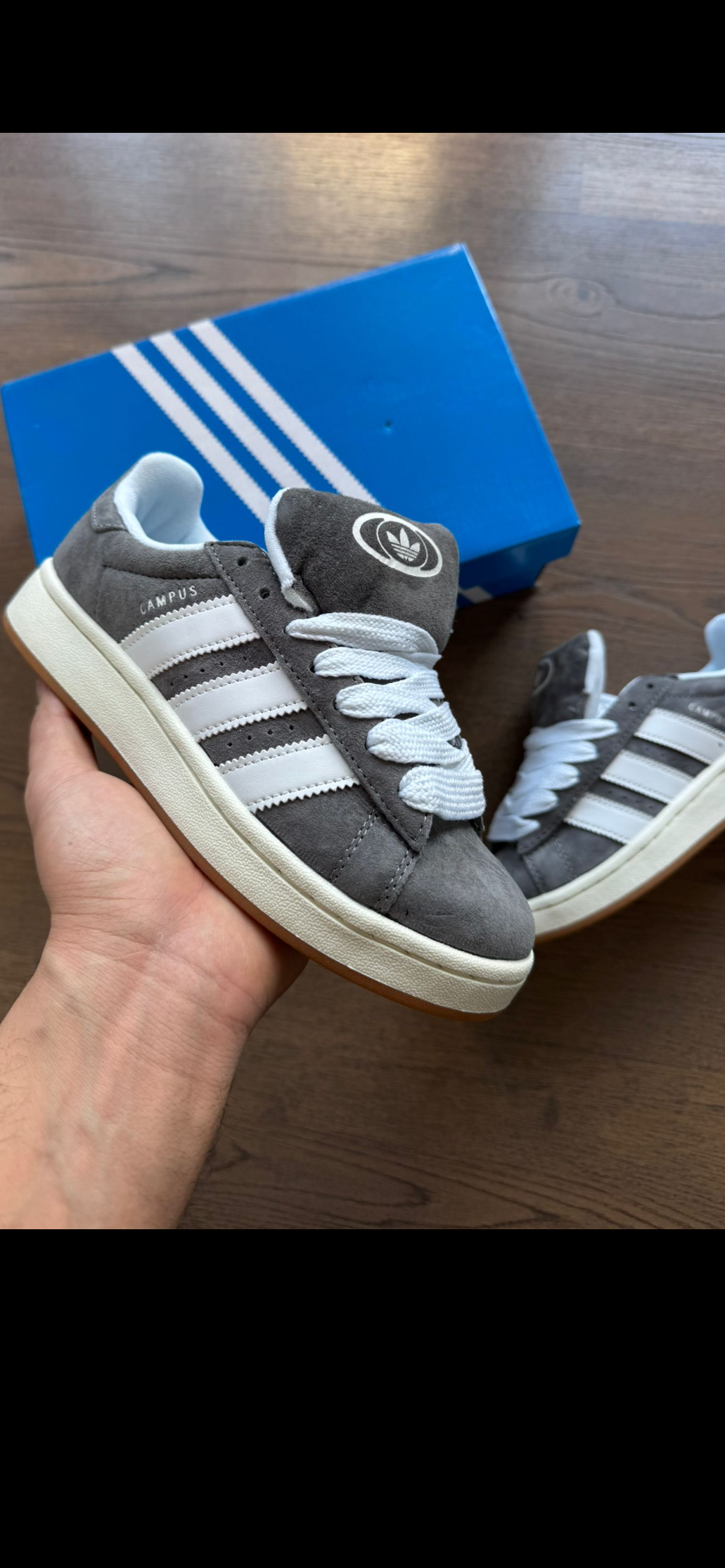 Adidas campus grises