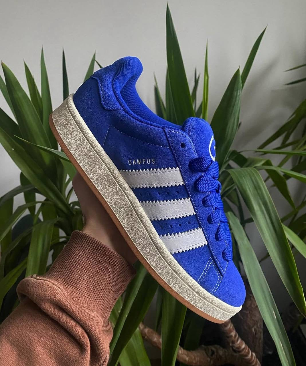 Adidas CAMPUS azul