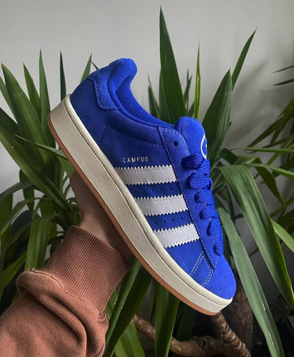 Adidas CAMPUS azul
