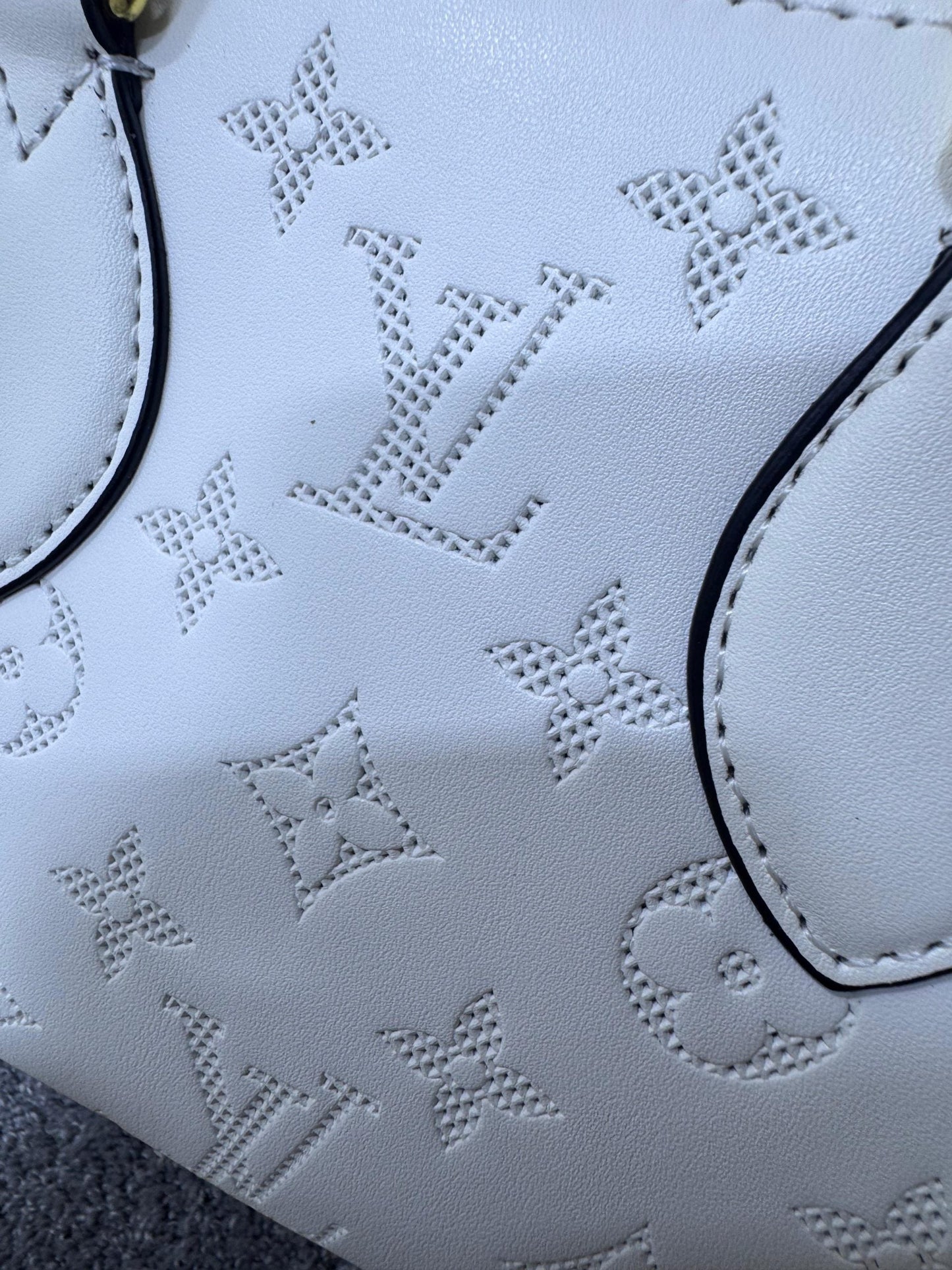Bolso LV (Mujer)